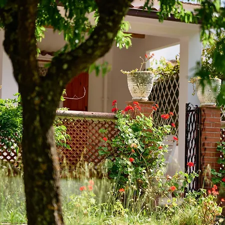 Apartment Dimora Nella Natura *