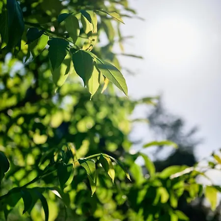 Dimora Nella Natura *